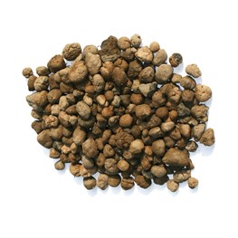 ARGILLA ESPANSA - LT 50